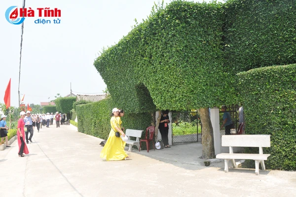 dai bieu ca nuoc an tuong voi nhung kdc kieu mau vuon mau ha tinh