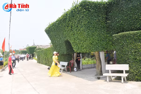 dai bieu ca nuoc an tuong voi nhung kdc kieu mau vuon mau ha tinh