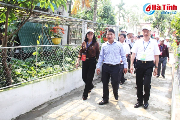 dai bieu ca nuoc an tuong voi nhung kdc kieu mau vuon mau ha tinh