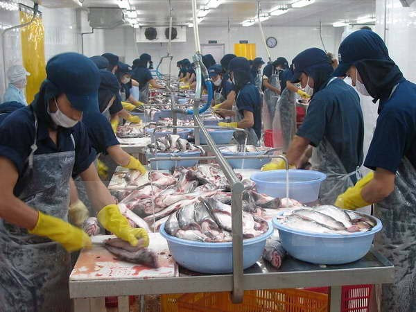 Ban hành chương trình điều tra thống kê quốc gia ảnh 1 ban hanh chuong trinh dieu tra thong ke quoc gia