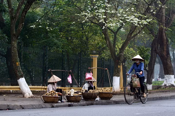 ve dep nguoi phu nu viet nam cung chiec non la