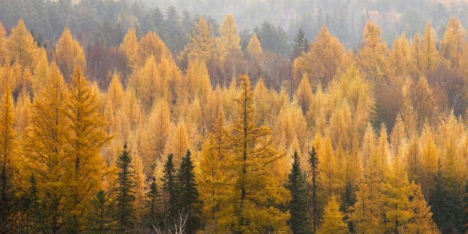 canh mua thu dep nao long khap the gioi