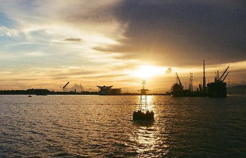 nga tiec nuoi can cu cam ranh de di kho tro lai