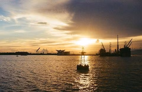 nga tiec nuoi can cu cam ranh de di kho tro lai