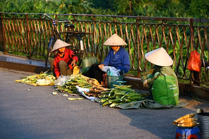 ve dep nguoi phu nu viet nam cung chiec non la