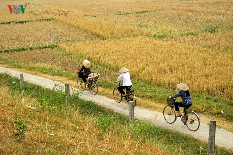 ve dep nguoi phu nu viet nam cung chiec non la