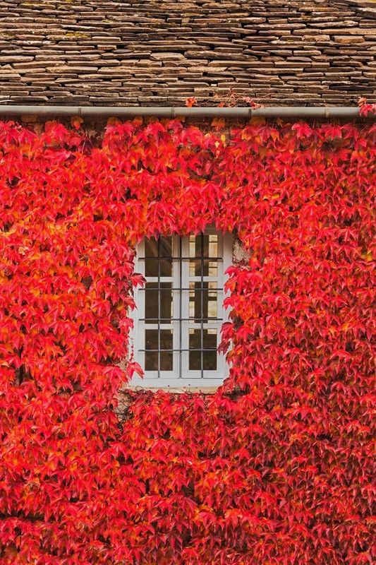 canh mua thu dep nao long khap the gioi