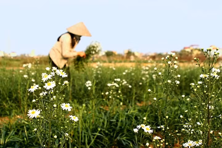 ve dep nguoi phu nu viet nam cung chiec non la
