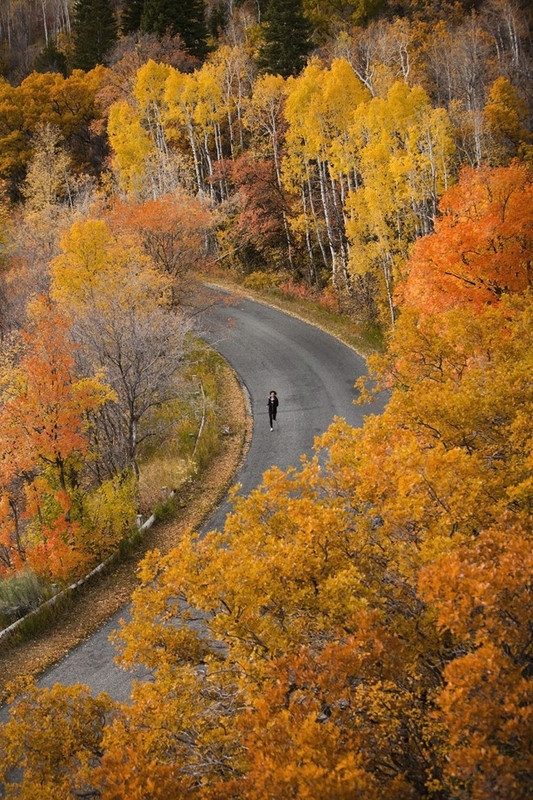 canh mua thu dep nao long khap the gioi