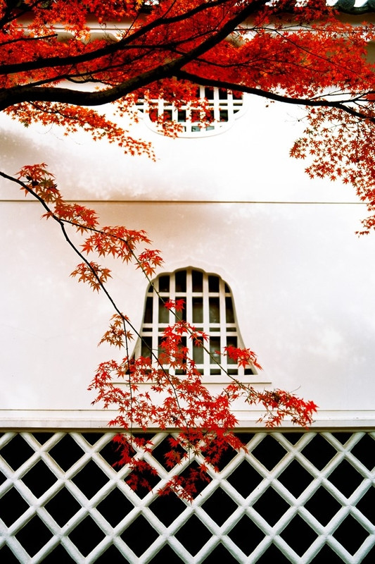 canh mua thu dep nao long khap the gioi