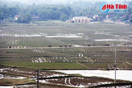 nguoi dan danh du voi mang song tren song