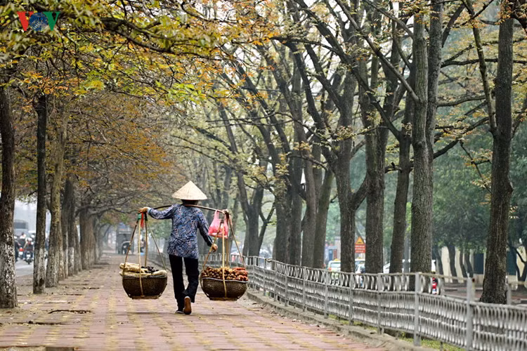 ve dep nguoi phu nu viet nam cung chiec non la