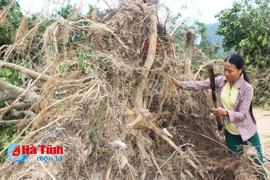 huong khe hang tram hec ta buoi phuc trach tan hoang sau lu