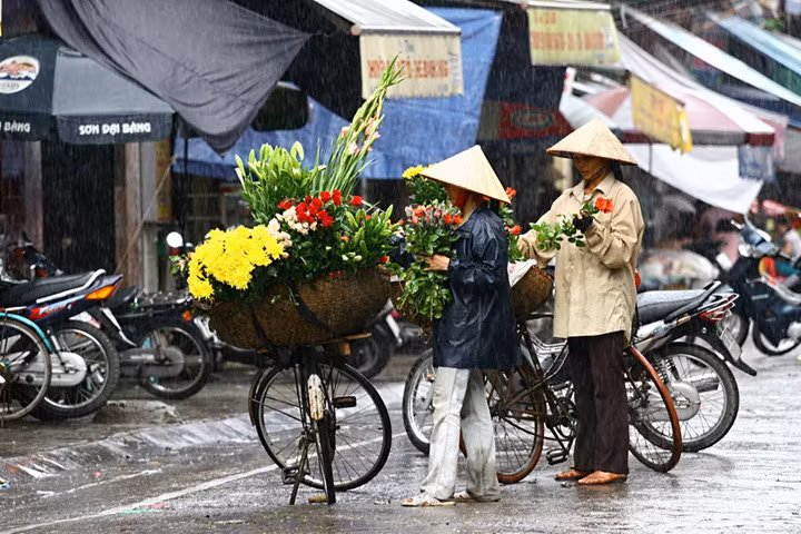 ve dep nguoi phu nu viet nam cung chiec non la