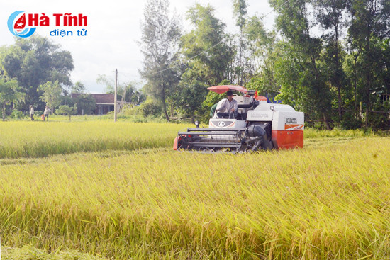 de nghi mien giam thue su dung voi 93917 ha dat nong nghiep