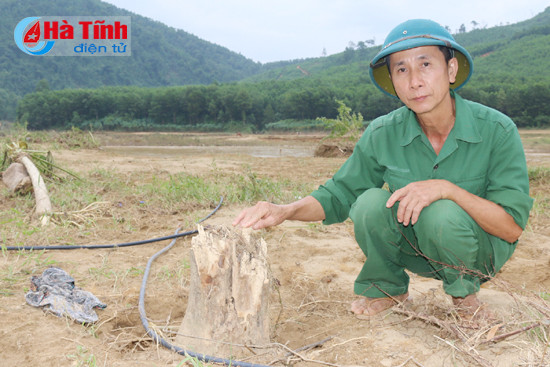 huong khe hang tram hec ta buoi phuc trach tan hoang sau lu