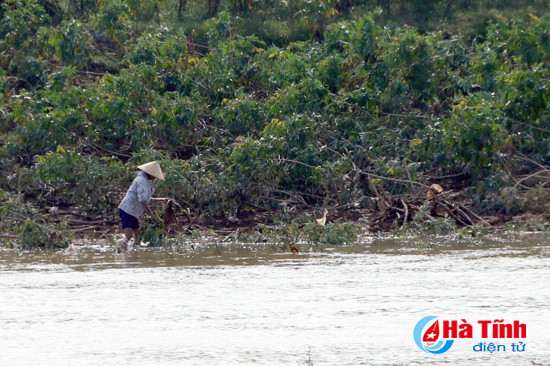 nguoi dan danh du voi mang song tren song