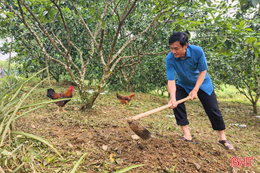 Sớm gỡ vướng để 24 hộ dân được cấp giấy chứng nhận quyền sử dụng đất