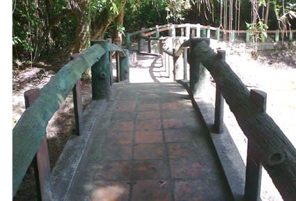 Cầu trên hồ ở miếu Ao