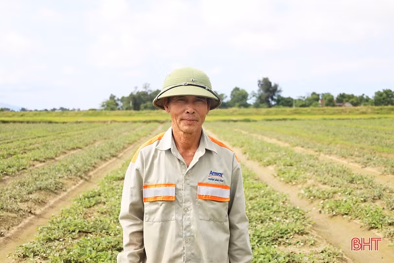 Cán bộ thôn dẫn lối “đổi đời” từ trồng cây dược liệu