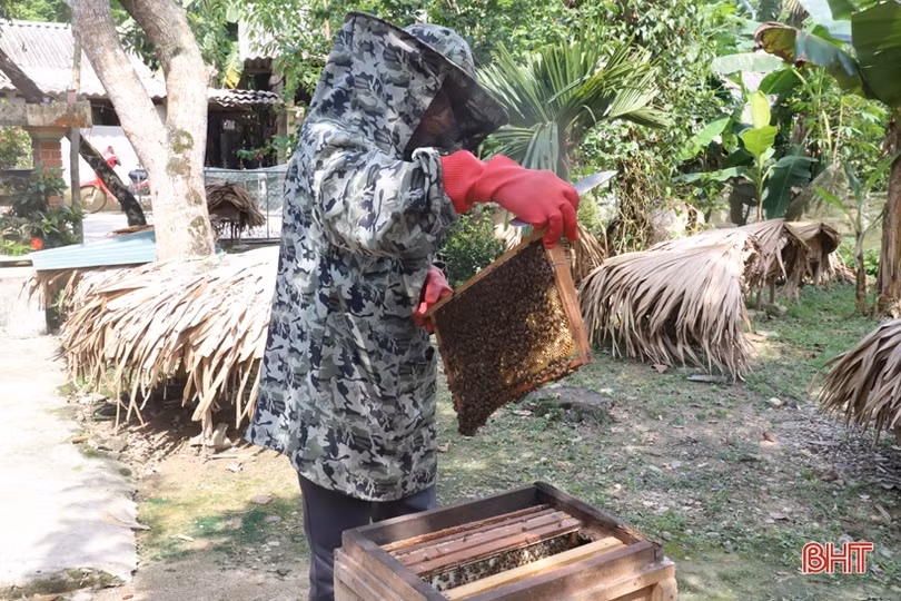 Liên kết để phát triển các mô hình kinh tế nhỏ do phụ nữ làm chủ