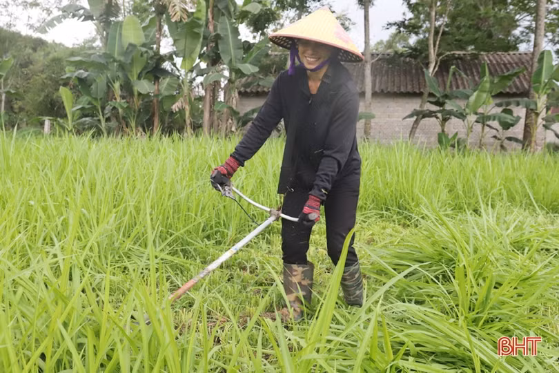 Liên kết để phát triển các mô hình kinh tế nhỏ do phụ nữ làm chủ