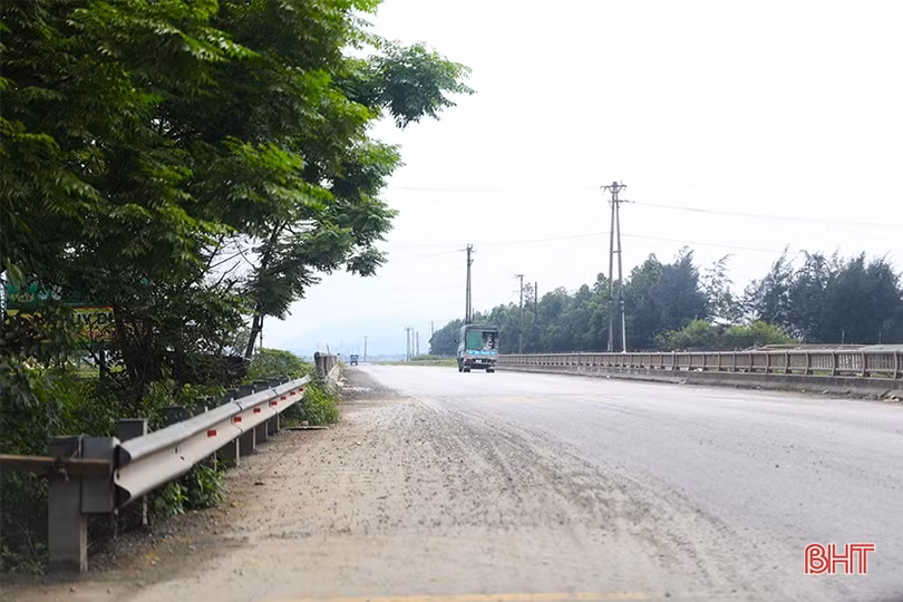 Mất an toàn giao thông vì trâu bò lông nhông trên đường!