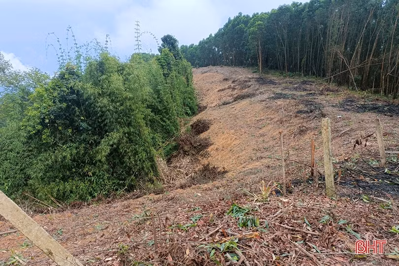 Hạt Kiểm lâm Vũ Quang nói gì khi trên địa bàn liên tiếp xảy ra phá rừng?