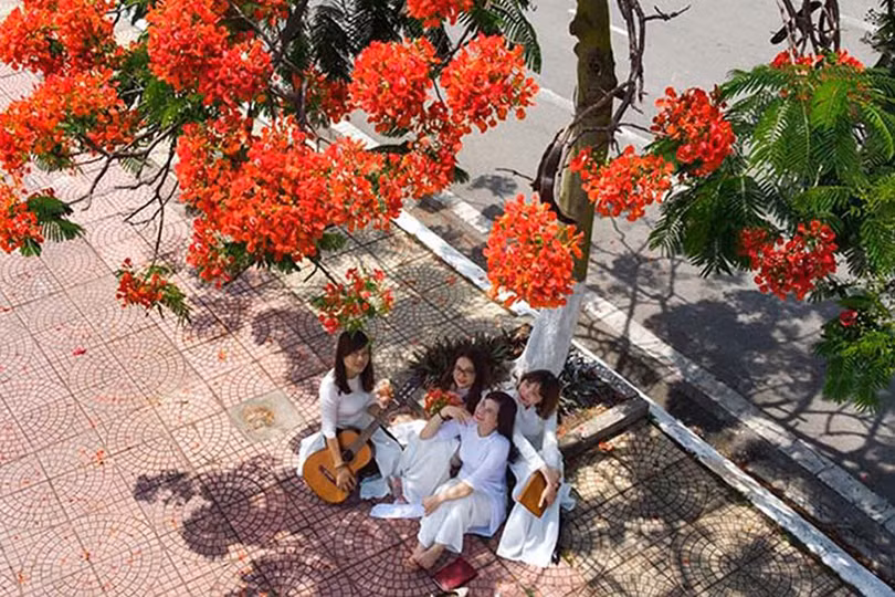 Tiếng phượng rơi