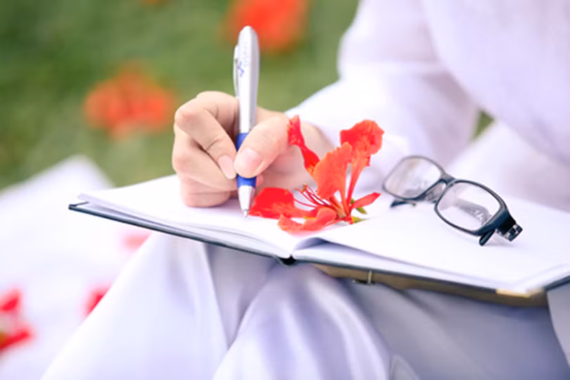 Tiếng phượng rơi