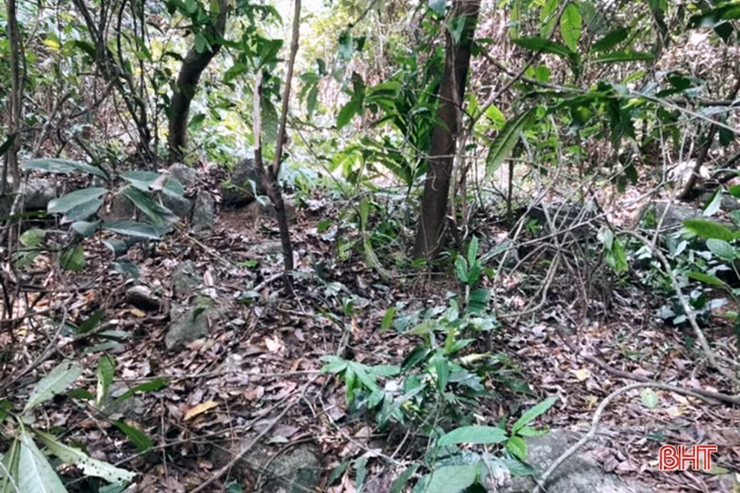 Tìm di sản trên núi Nam Giới