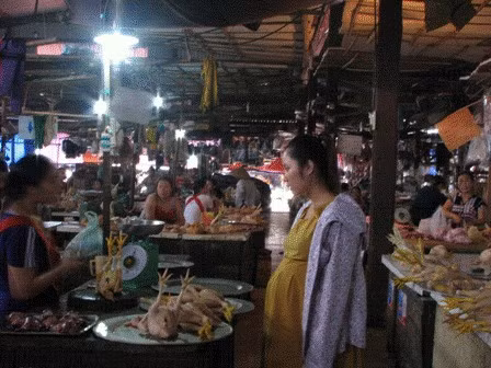 Trước khi vào thị trường Hà Tĩnh, gà gô (gà thải Trung Quốc) đều đã được hợp thức hóa các loại thủ tục