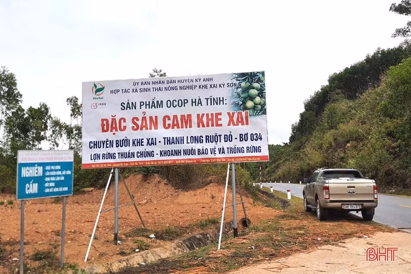Khám phá trang trại cam Khe Xai ở vùng thượng Kỳ Anh