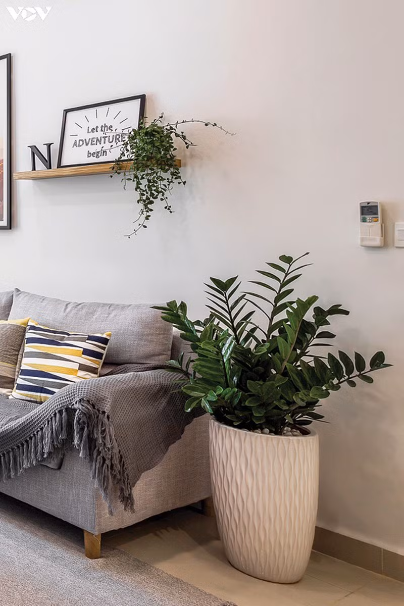 Nét cá tính trong căn hộ đơn sắc