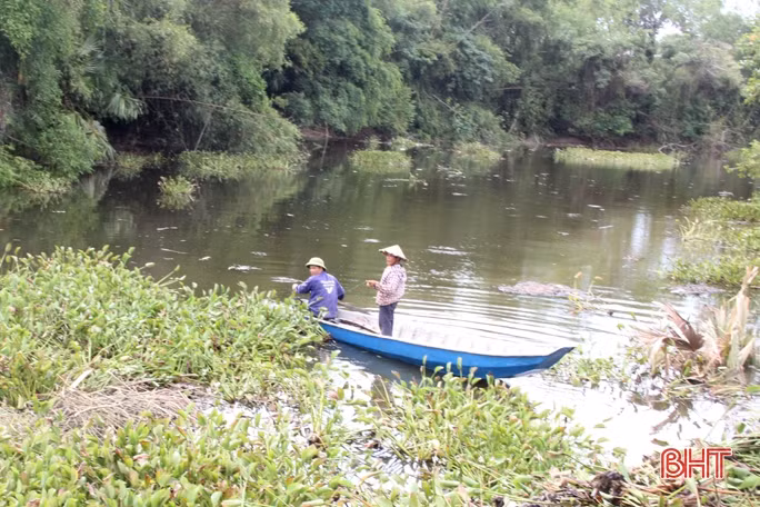 Bèo tây gây ô nhiễm xã miền núi Hương Sơn nhiều năm liền