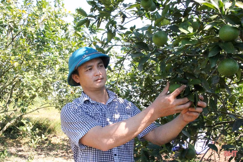 Sức sống tươi xanh của miền đất trẻ Vũ Quang