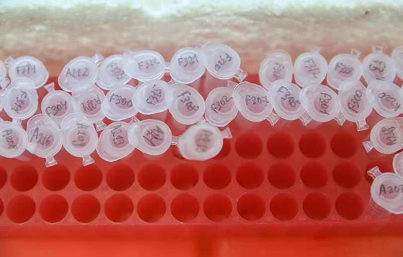 Nga muốn sản xuất hàng triệu liều vaccine ngừa Covid-19 mỗi tháng từ đầu năm 2021