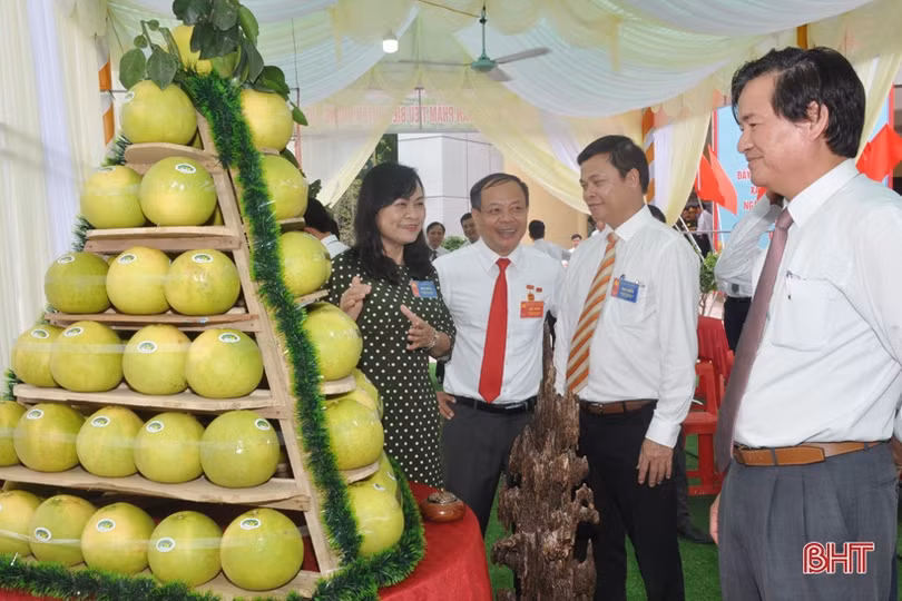 Ấn tượng gian hàng trưng bày sản phẩm nông nghiệp tiêu biểu của Hương Khê