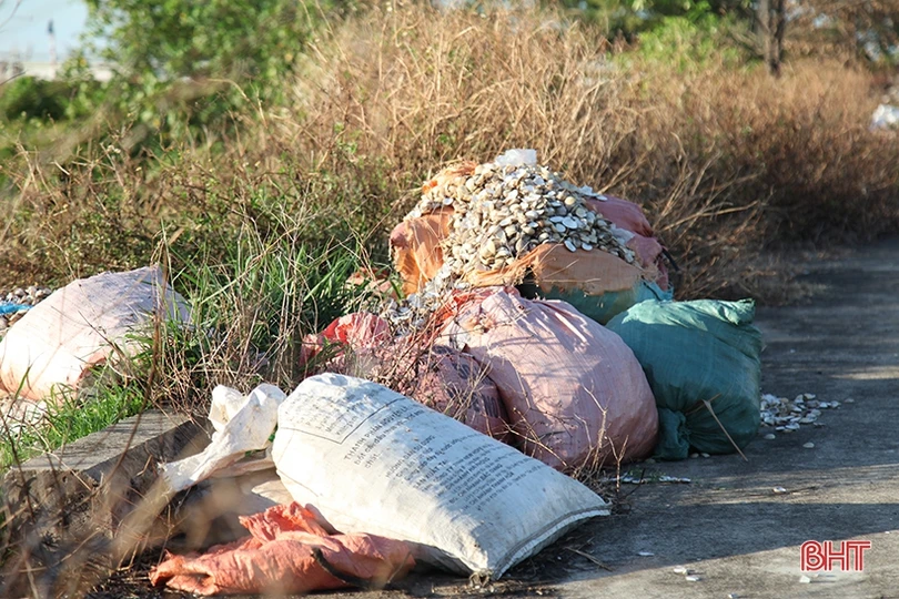 Nhếch nhác trên tuyến đê phía Bắc thành phố Hà Tĩnh