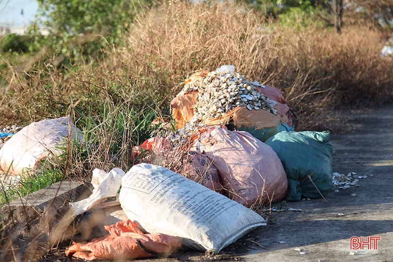 Nhếch nhác trên tuyến đê phía Bắc thành phố Hà Tĩnh