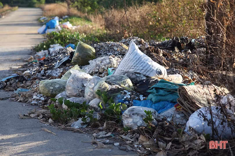 Nhếch nhác trên tuyến đê phía Bắc thành phố Hà Tĩnh