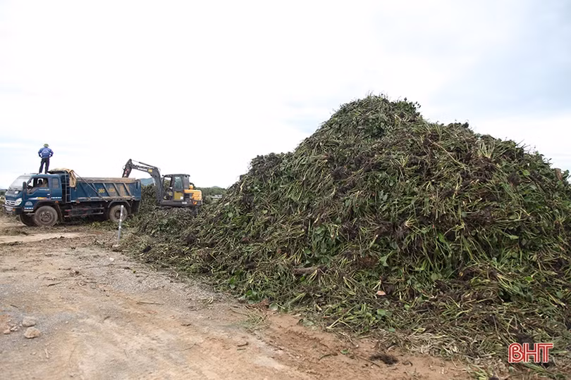 Huy động máy xúc “giải cứu” 700 ha lúa ngập trong nước ở Kỳ Anh