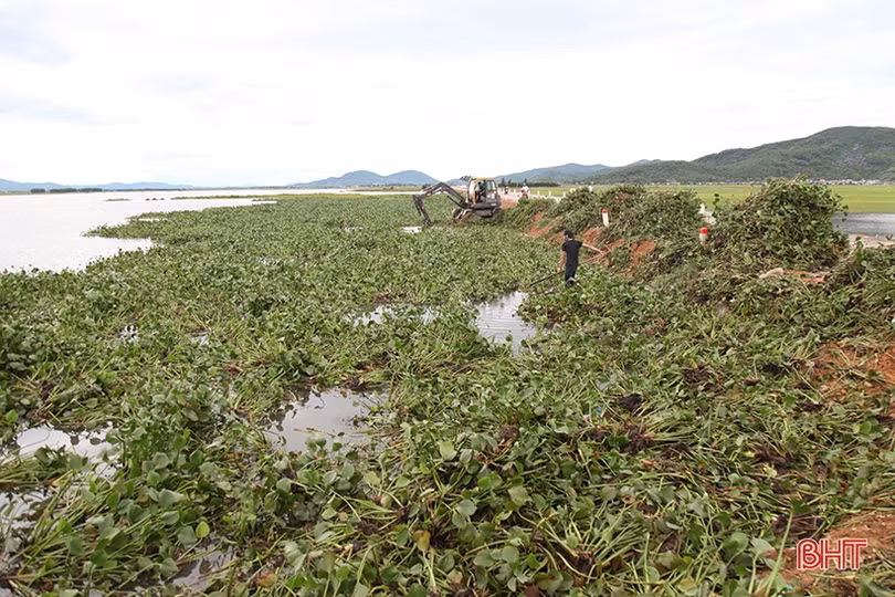 Huy động máy xúc “giải cứu” 700 ha lúa ngập trong nước ở Kỳ Anh