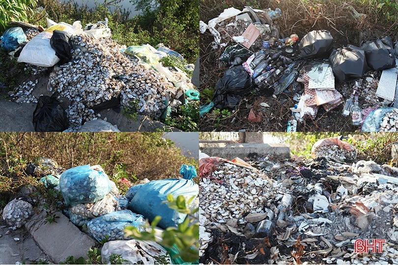 Nhếch nhác trên tuyến đê phía Bắc thành phố Hà Tĩnh