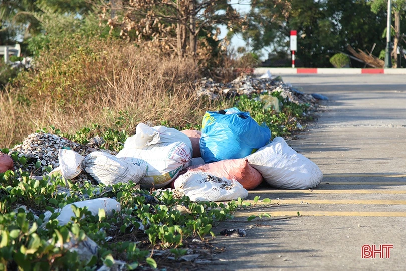 Nhếch nhác trên tuyến đê phía Bắc thành phố Hà Tĩnh