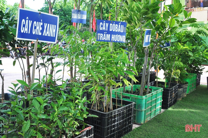 Ấn tượng gian hàng trưng bày sản phẩm nông nghiệp tiêu biểu của Hương Khê