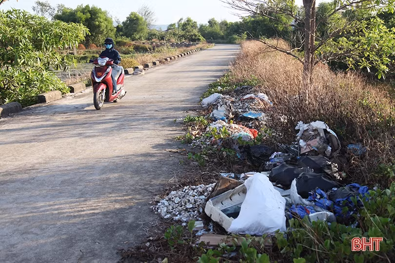 Nhếch nhác trên tuyến đê phía Bắc thành phố Hà Tĩnh