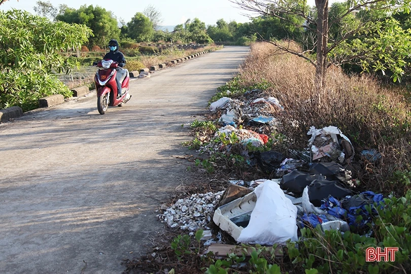 Nhếch nhác trên tuyến đê phía Bắc thành phố Hà Tĩnh