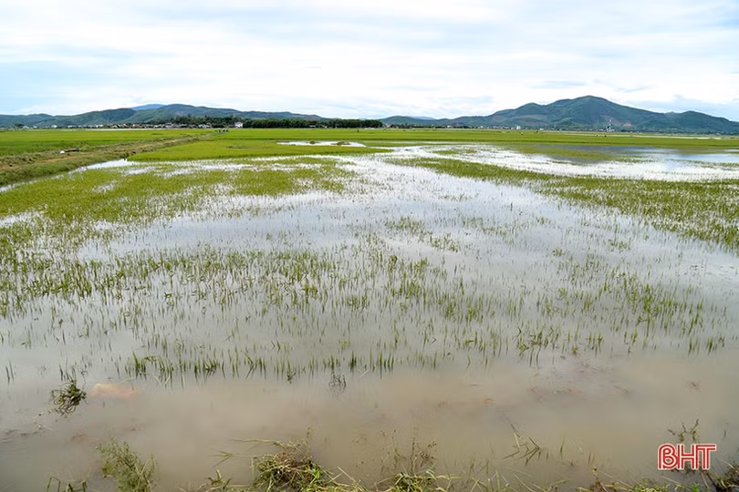 Đánh giá tổng thể tác động của công trình đối với việc tiêu thoát nước ở huyện Kỳ Anh