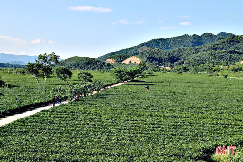 Hương Sơn tạo “cú hích” phát triển thương mại, dịch vụ và du lịch